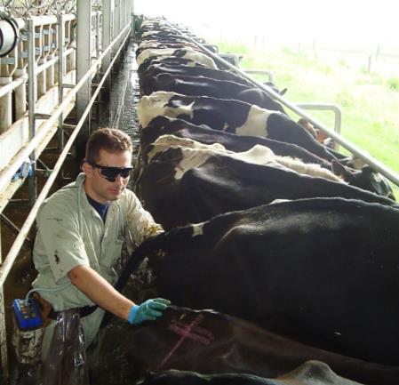 Re-Sincronização de Vacas Vazias Diagnóstico gestacional 30 a 60% de vacas vazias Re-inseminação após detecção de cio Lopez et al. 2004. Anim. Reprod. Sci. 81:209-223.