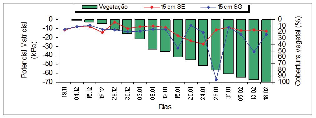 Figura 6 Relação do potencial matricial (15 c m) e respectiva cobertura do solo