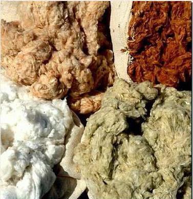 Algodão Orgânico: algodão obtido mediante o manejo e a proteção dos recursos naturais, sem a utilização de agrotóxicos, adubos químicos ou outros insumos prejudiciais à saúde humana e ao meio