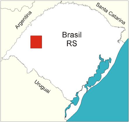 de tipo deserto. Ao contrário, a dinâmica dos processos envolvidos nesta degradação dos solos é fundamentalmente derivada da abundância de água.