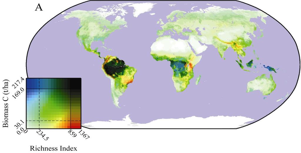 CARBONO E BIODIVERSIDADE Source: