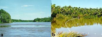 2005) (Fig. 6). O rio Cuiabá apresenta margens de natureza areno-argilosa e estreita faixa de mata ciliar sucedida por áreas de pastagens.