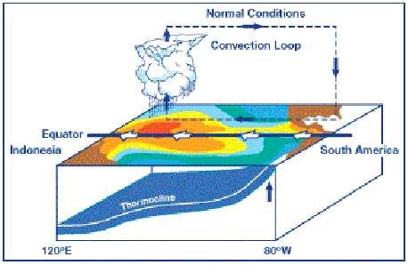 EL NIÑO OSCILAÇÃO SUL (ENOS) Em anos normais a circulação observada sobre o oceano Pacífico caracteriza-se por movimentos ascendentes na parte central e oeste deste oceano e por movimentos