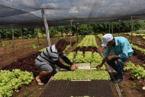 Agricultura Familiar impulsiona interiorização do desenvolvimento de PE By Junior Finfa in Sem categoria on 26 de junho de 2018.