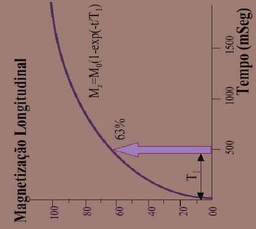 poder entrar em relaxamento. O relaxamento corresponde ao tempo para que excesso de núcleos transferidos para o nível mais alto de energia retornem para o nível mais baixo de energia.