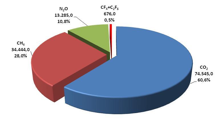 12 Participação dos setores nas emissões totais de gases de efeito estufa (valores em Gg CO 2 eq) Participação dos gases de efeito estufa nas