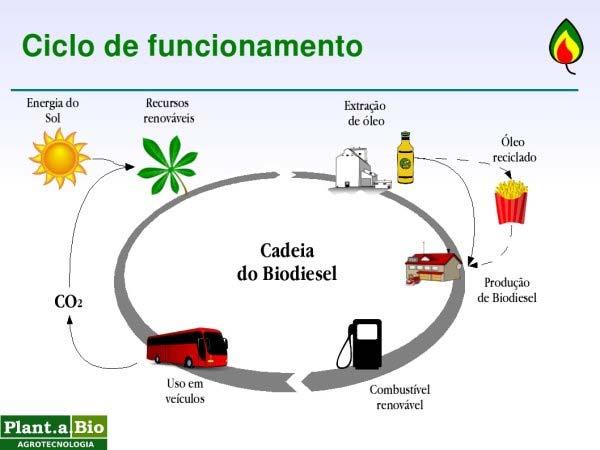 (SILVA, 2015). Figura 1. Fundações do biodiesel no Brasil. Fonte: MME. O viés mercadológico é relacionado ao econômico.