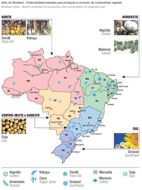 1428 Entretanto o ponto principal do PNPB foi quanto ao aspecto social. O programa pretendia incluir o pequeno agricultor das mais diferentes regiões do país na cadeia produtiva do biodiesel.