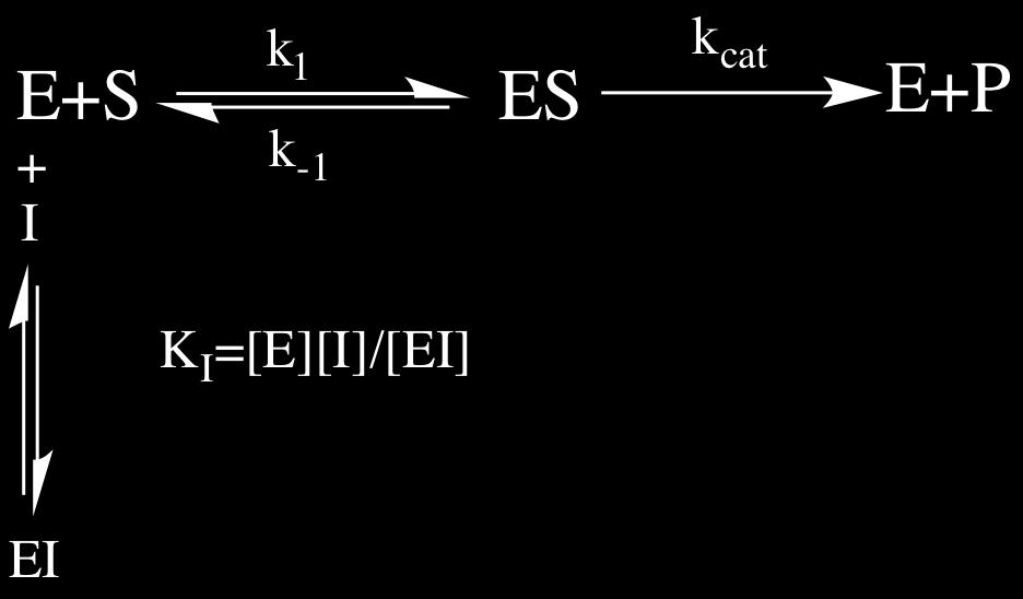 E não é difícil derivar a equação de Michaelis-Menten levando em conta o equilíbrio entre a enzima e o inibidor competitivo: v =!!"#[!].