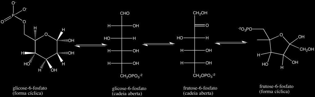Figura 16. Reação de isomerização de glicose-6-fofato, uma aldose, em frutose-6- fosfato, uma cetose. Essa reação é catalisada pela enzima phosphohexose isomerase.