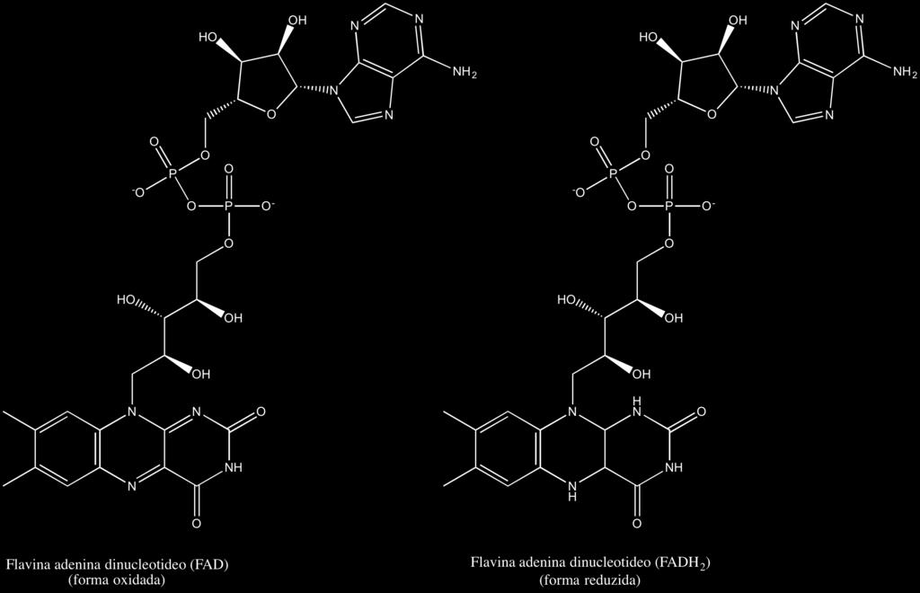 O complexo piruvato desidrogenase é formado por três enzimas que promovem a descarboxilação e oxidação do piruvato formando um grupo acetil, e promovem ainda a reação de condensação entre o grupo