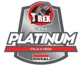 GAMA PLATINUM DUT PR V N Indústria e construção Produto de limpeza e de desengorduramento,