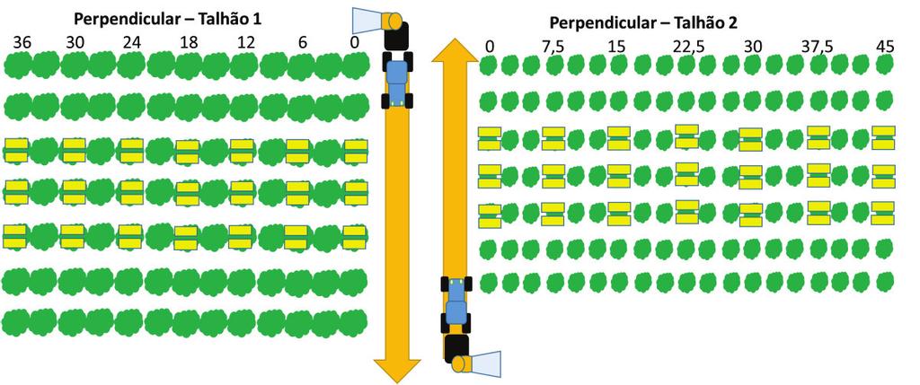 Localização e distâncias (metros) entre as plantas com papéis