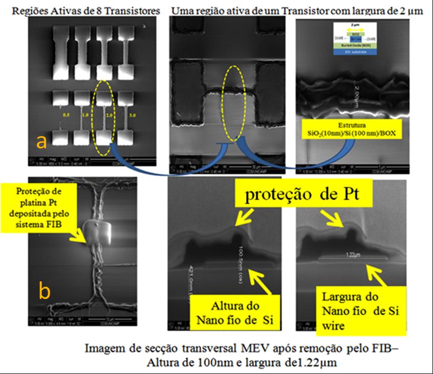 A Figura 7 mostra as regiões ativas da primeira parte do procedimento, resultado que foi obtido após a corrosão com a solução de NH 4 OH.