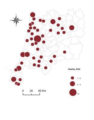 Em termos de distribuição geográfica, estão bastante disseminadas pelo território, repartindo-se por 39 municípios da Região Centro, sendo os concelhos de Coimbra e Torres Vedras os que têm um maior