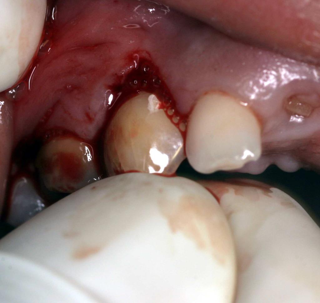 Clínica de Ortodontia Dental Press, Maringá, v.