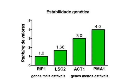 39 Figura 8 - Análise do gene de referência para o tratamento com laser e azul de metileno nas diferentes amostras do estudo (ATCC 18804 e amostras clínicas 39S e Ca30) e nos 4