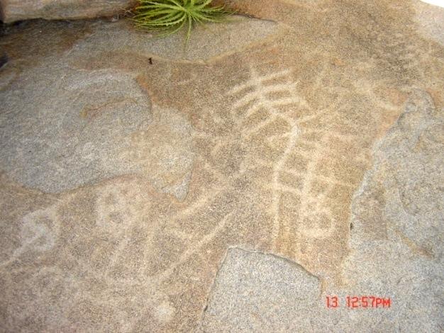 técnica de raspagem completa do espaço interno ocorre em raras ocasiões, geralmente com motivos figurativos ou partes desses motivos (pés e mãos). Fig. 07 Gravuras rupestres do sítio arqueológico.