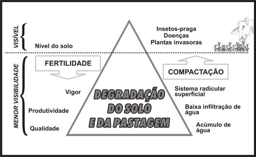 Considerações sobre a morte de pastagens de Brachiaria brizantha cv. Marandu em alguns Estados do Centro e Norte do Brasil: 7 Fig. 3.