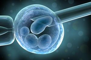 Alternativa: DGPI Neste procedimento se analisa uma única célula (blastômero) do embrião que é biopsiado a partir do terceiro dia de desenvolvimento.