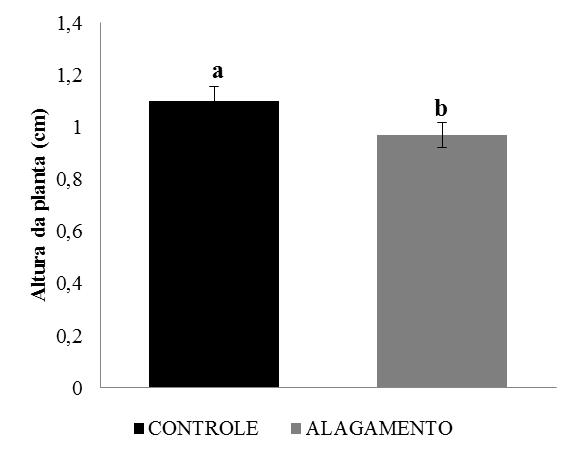 35 ATP principalmente pela redução da disponibilidade de O 2 (ALVES et al., 2002). Figura 2. Altura das plantas de milho submetidas durante 10 dias sob alagamento.