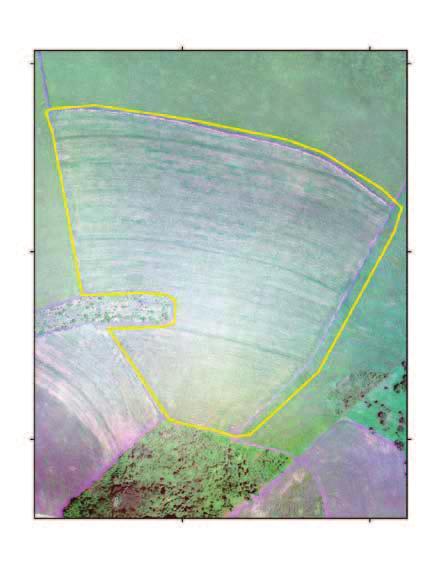 Figura 4. Imagem aérea mosaicadas, georreferenciadas e ortorretificadas da Unidade Piloto da cana-de-açúcar em Mogi Mirim, SP, obtida por veículo aéreo não tripulado (VANT) e câmera RGB.