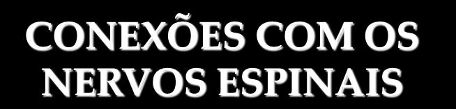 Substância Cinzenta tecido nervoso constituído de neuróglia, corpos de neurônios e fibras predominantemente amielínicas.