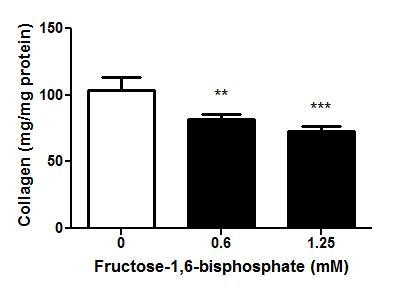 Figure 5. Fig. 5. Total collagen content in cell supernatant of 7 days treatment.