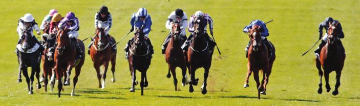 Norfolk Stakes (G2-1000mT Royal Ascot-Eng) REPRODUTORAS: CHANSON POUR JULIA (Brz), 1997, Irish Fighter Cat s Night (Slap Jack) Mãe de: Imennsa Vendetta-Brz (f, 2, Pai: First American- USA) HORA LEGAL