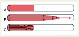 Tipos de fluxo sanguíneo regime de escoamento Relação com a circulação sanguínea Laminar -