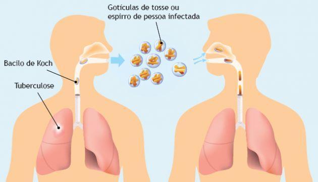 Microscopia e