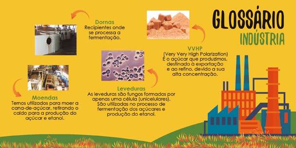 curiosidades institucional Expediente: Observador é um jornal mensal produzido pela Pedra Agroindustrial - Usina da Pedra, Usina Buriti e Usina Ipê.