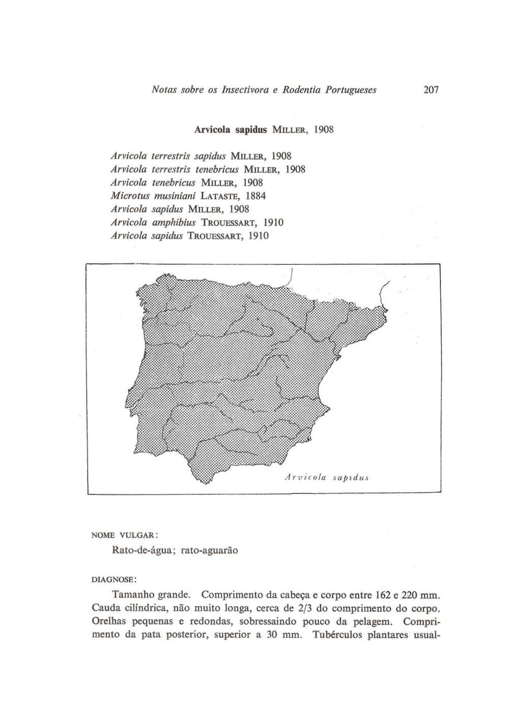 Notas sobre os Insectivora e Rodentia Portugueses 207 Arvicola sapidus MILLER, 1908 A"icola lerreslris sapidus MILLER, 1908 Arvicola lerreslris lenebricus MILLER, 1908 Arvicola lenebricus MILLER,