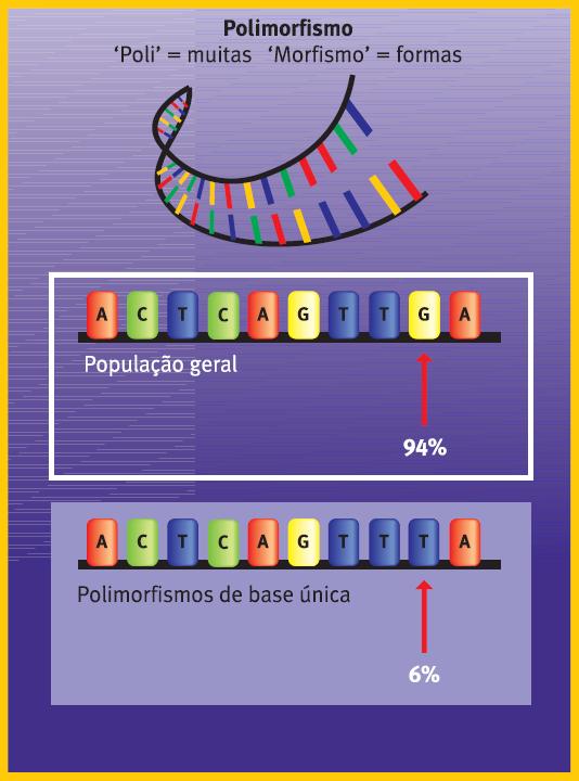 VARIABILIDADE FARMACOGENÉTICA