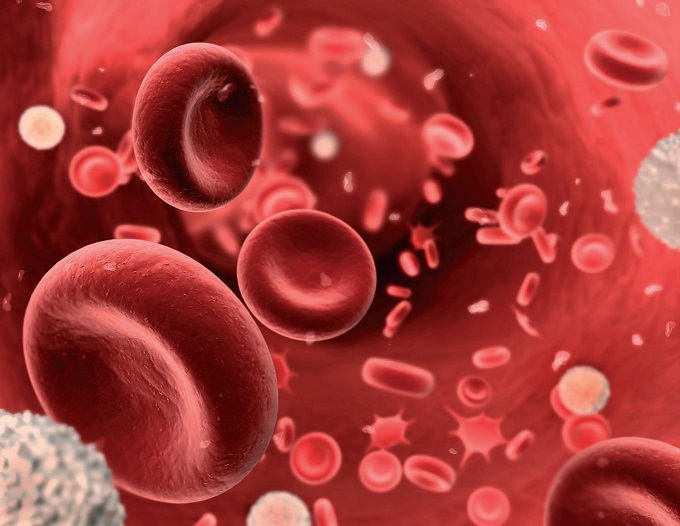 Hemodiálise Objetivos: Extrair do sangue substâncias