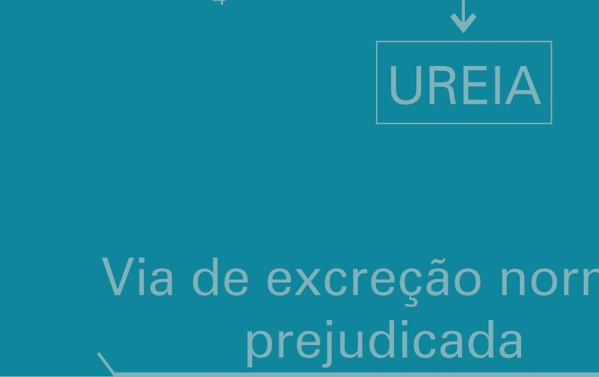 CAPÍTULO 13 BIOMOLÉCULAS E METABOLISMO CELULAR DISTÚRBIOS DO CICLO DA UREIA NA HIPERAMONEMIA HEREDITÁRIA Caso clínico Um homem branco de 30 anos de idade foi internado em um hospital apresentando