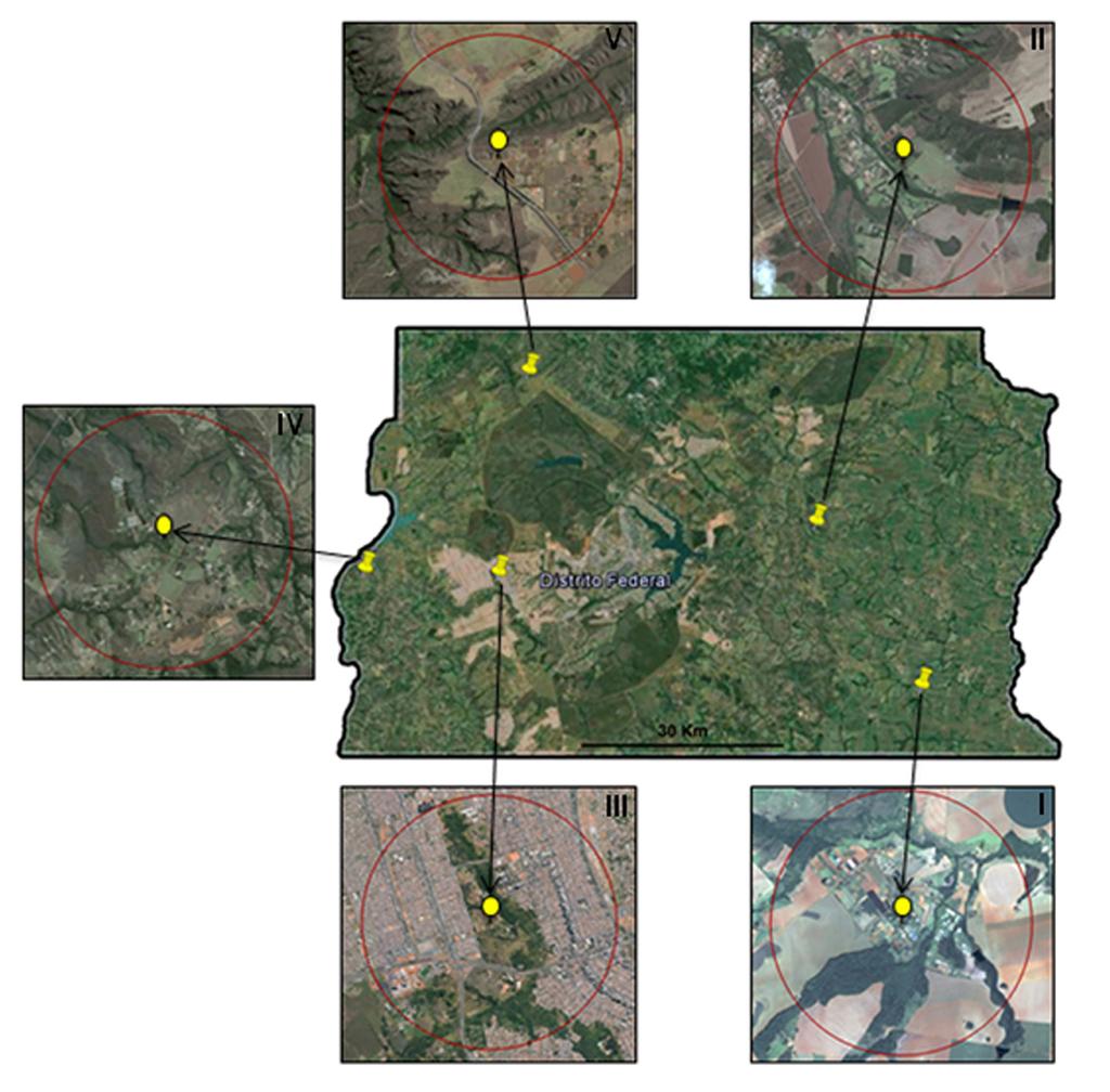 Abundância e Flutuação Populacional da Mosca-Branca em Relação a Padrões Regionais e Locais de Fisionomia Agrícola no Distrito Federal 13 Figura 1.