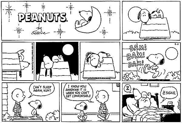 27. Read the comic and then mark the correct answer. Sourse<http://peanuts.wikia.