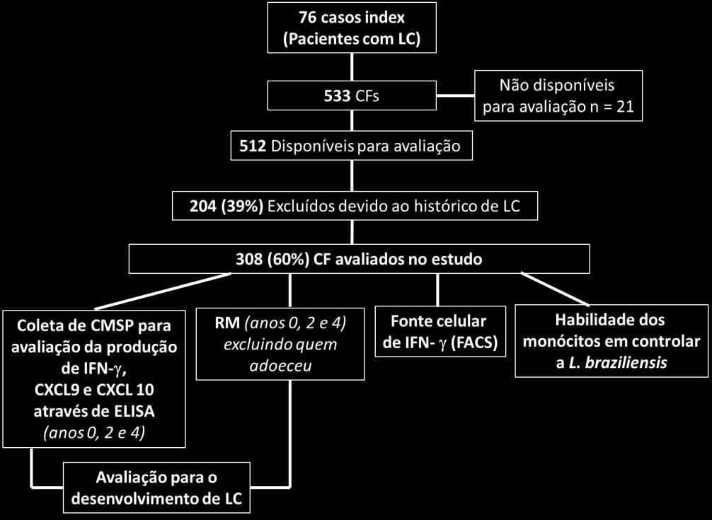 36 FIGURA 1. Desenho de estudo e estudos imunológicos de uma coorte de contatos familiares (CF) em uma área endêmica para a L. braziliensis e os estudos imunológicos realizados.
