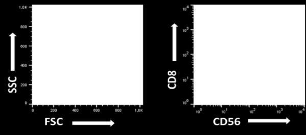 desenvolveram LC (FIGURA 6A, 6B e 6C). (A) (B) (C) Porcentagem de celulas produzindo IFN- 3.0 2.5 2.0 1.5 1.