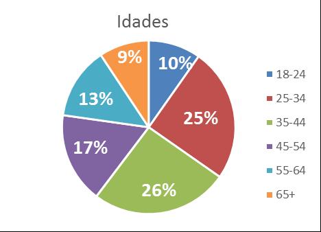 Dados de perfil dos visitantes para cada área do site RTP Fonte: Google Analytics Site