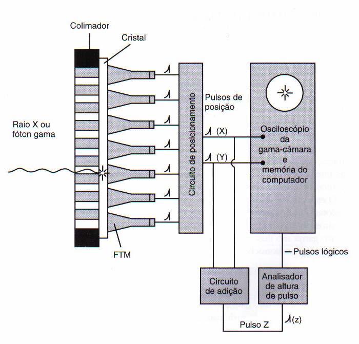 Figura 1: Esquema básico de uma câmara de cintilação. Fonte: THALL, J. H., ZIESSMAN, H. A. Nuclear Medicine: The Requisites, Second Edition, Mosby, inc, 2003.