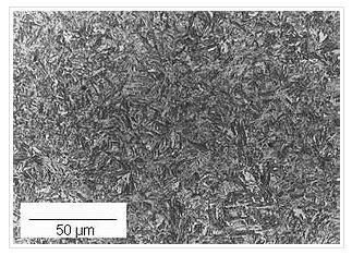 55 Figura 27: Micro-estrutura da bainita (www.cimm.com.