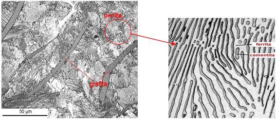 64 Figura 34: Veios de grafita sobre uma matriz perlítica e cada grão possui lamelas de duas fases: ferrita e cementita (www.cimm.com.br) 2.4.3 Fenômenos que ocorrem na estrutura de metais