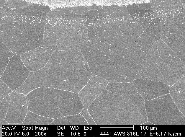 Figura 6. Precipitação de possíveis carbonetos e/ou carbonitretos logo abaixo da linha de fusão. Aumento de 500x.