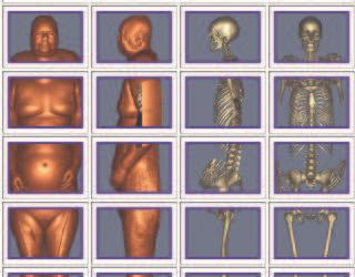 Ensino de Anatomia Ensino de Anatomia Projeto Visible