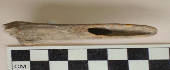 encontrados na camada II. Dois artefatos foram confeccionados tendo como base osso de Tayassu pecari porco do mato.