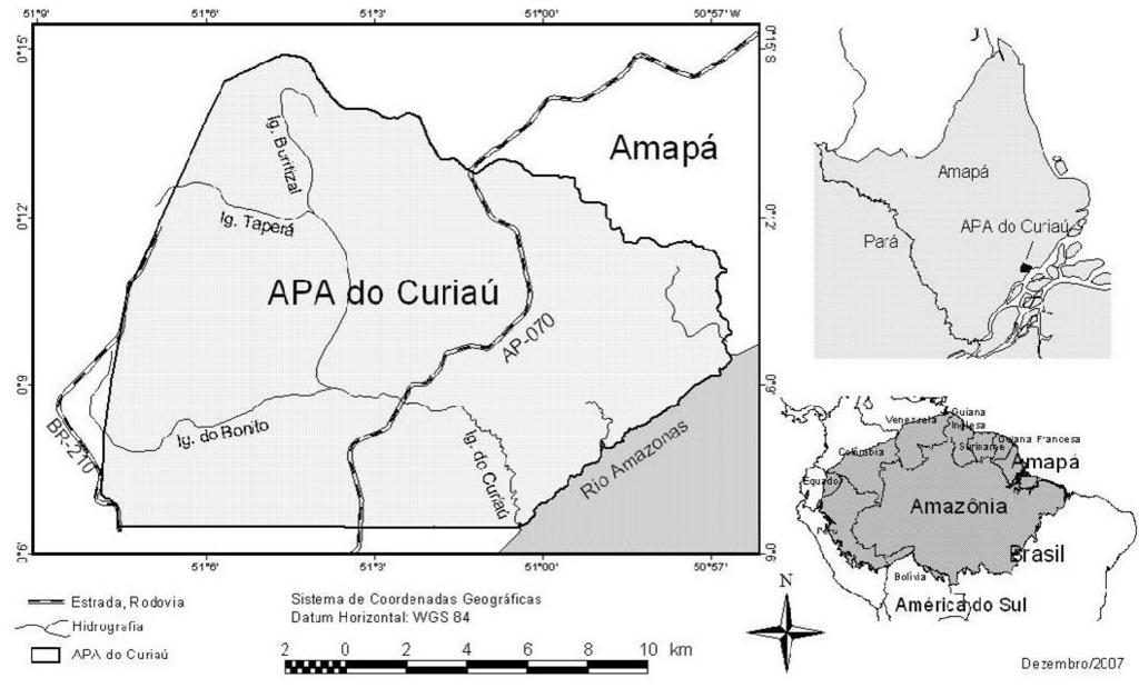 castanho-escuras alongadas; nadadeiras também Curiaú, através de diferentes características como a manchadas, às vezes com listras (BRITSKI et al., 1999).