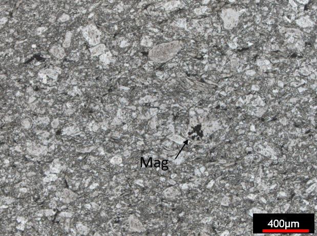 FSF003 122,16m: rocha ígnea fanerítica fina composta por plagioclásio, biotita e
