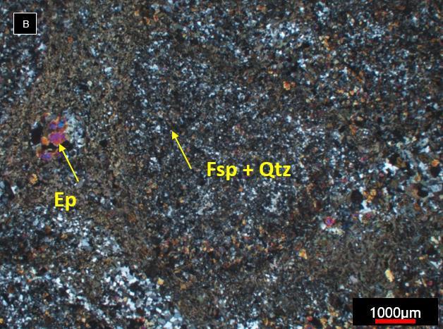 FSF005 372,20m. Os aglomerados de epidoto são delimitados por clorita, produto de alteração da biotita.